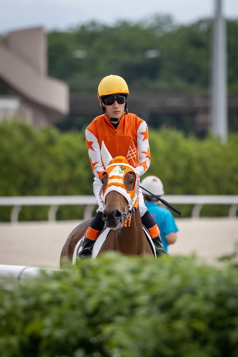 umatonekoship's tweet photo. 2026.6.8
大井競馬場 2R
マンゴーパフェ 
アスクピーターパン産駒
小野寺厩舎
菅原涼太騎手 https://t.co/vbBbUN6eYv