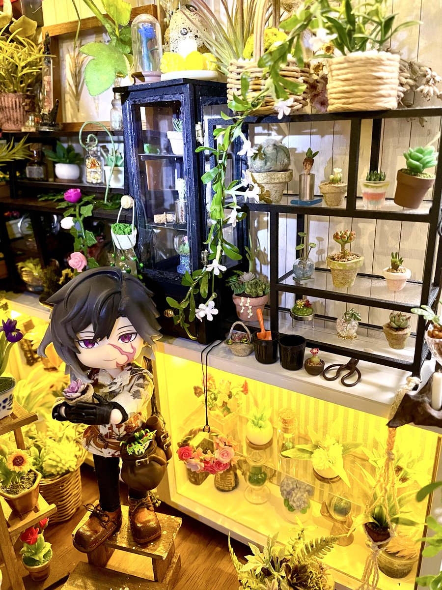 saayausa's tweet photo. 昨日のドールハウスは側面もしっかり紹介すると、上段の手前と真ん中の黒い棚に飾ってあるミニチュア多肉植物はユワージュ様（@yuwaju029029 ）の作品🪴
AKG等で毎回お土産みたいに購入してて、実休さんの手で持っているのが前回分☺️ｶﾜｲｲ
縦長の黒ショーケースはこれも菅野様（@suganoei1 ）です！ https://t.co/YTh0QNYZ92