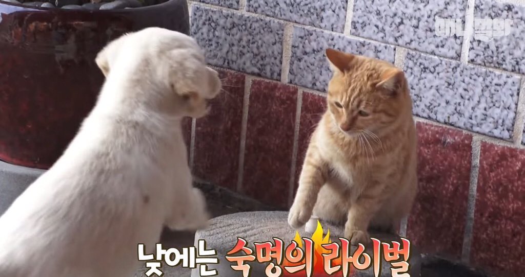 iztkisgood's tweet photo. 군대 유즈이바 https://t.co/BiLvR42SPS