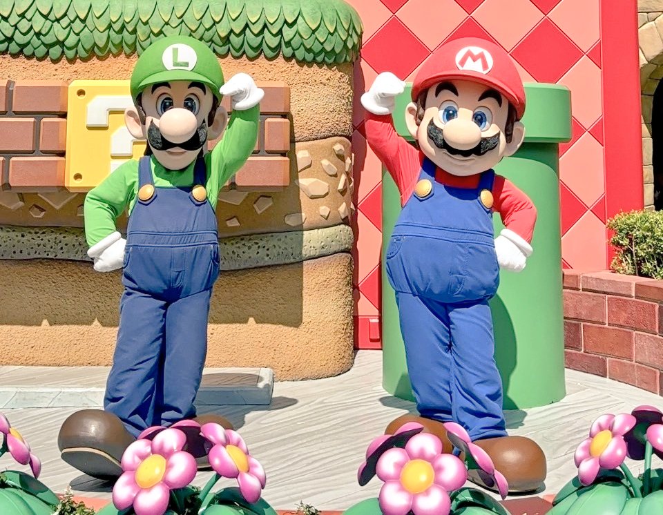 かげは🪶マリオファン tweet media