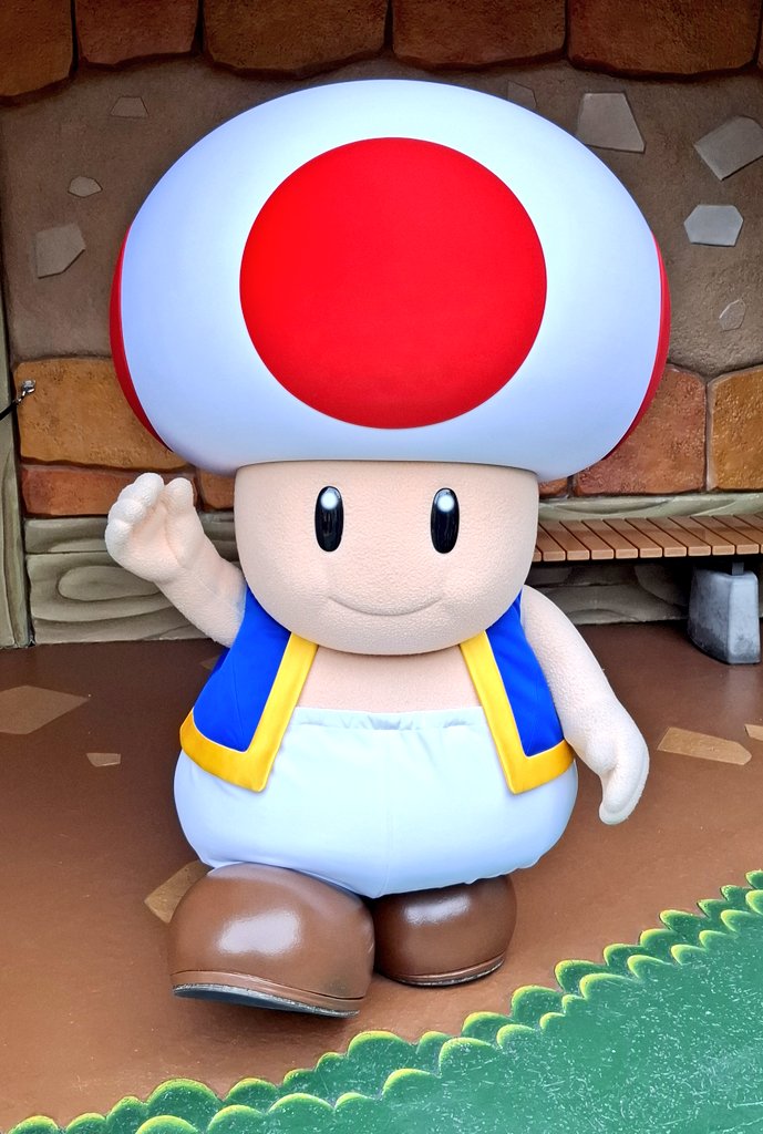 かげは🪶マリオファン tweet media