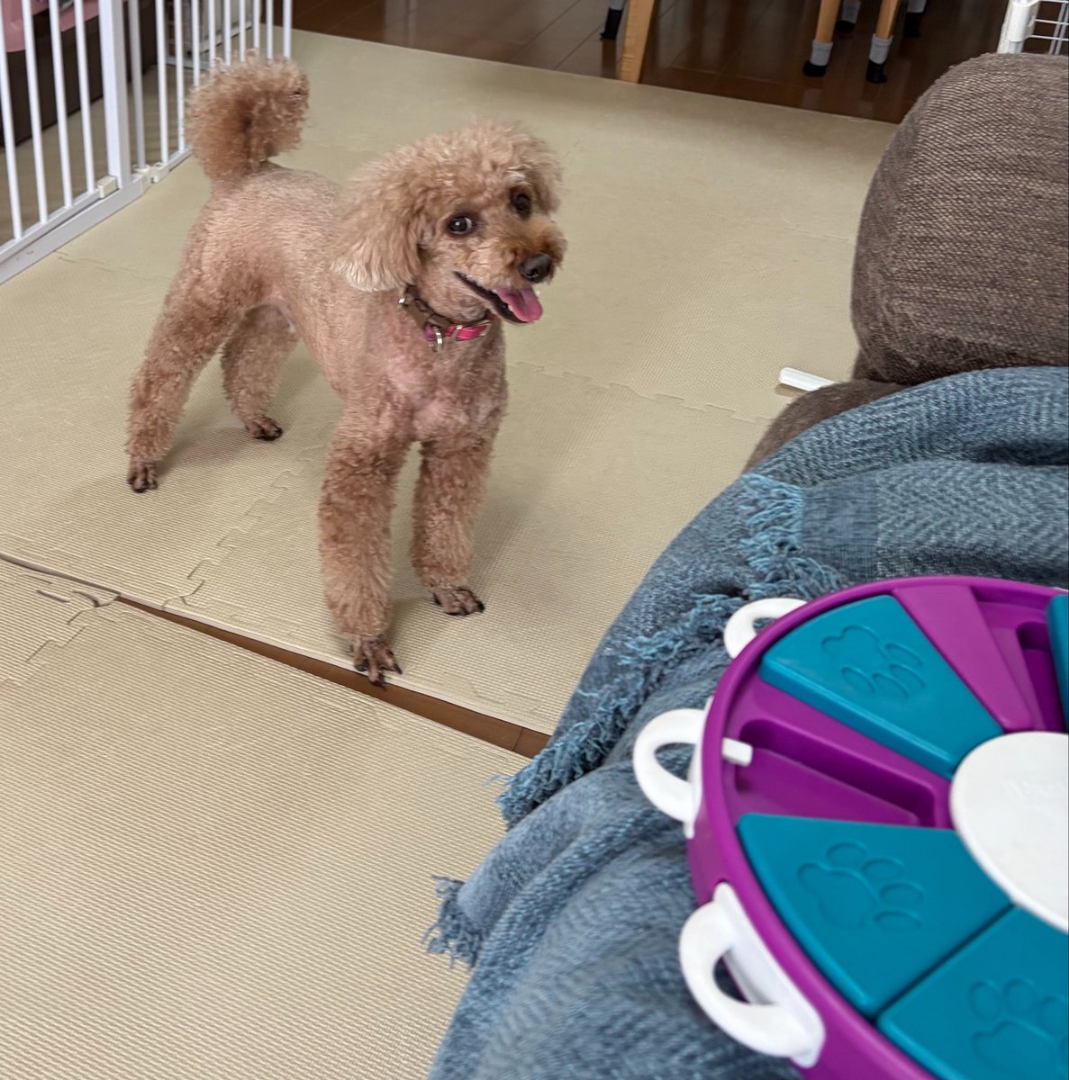 sol712toy's tweet photo. ちょっと、それ、やろう https://t.co/PjEMgBe63S