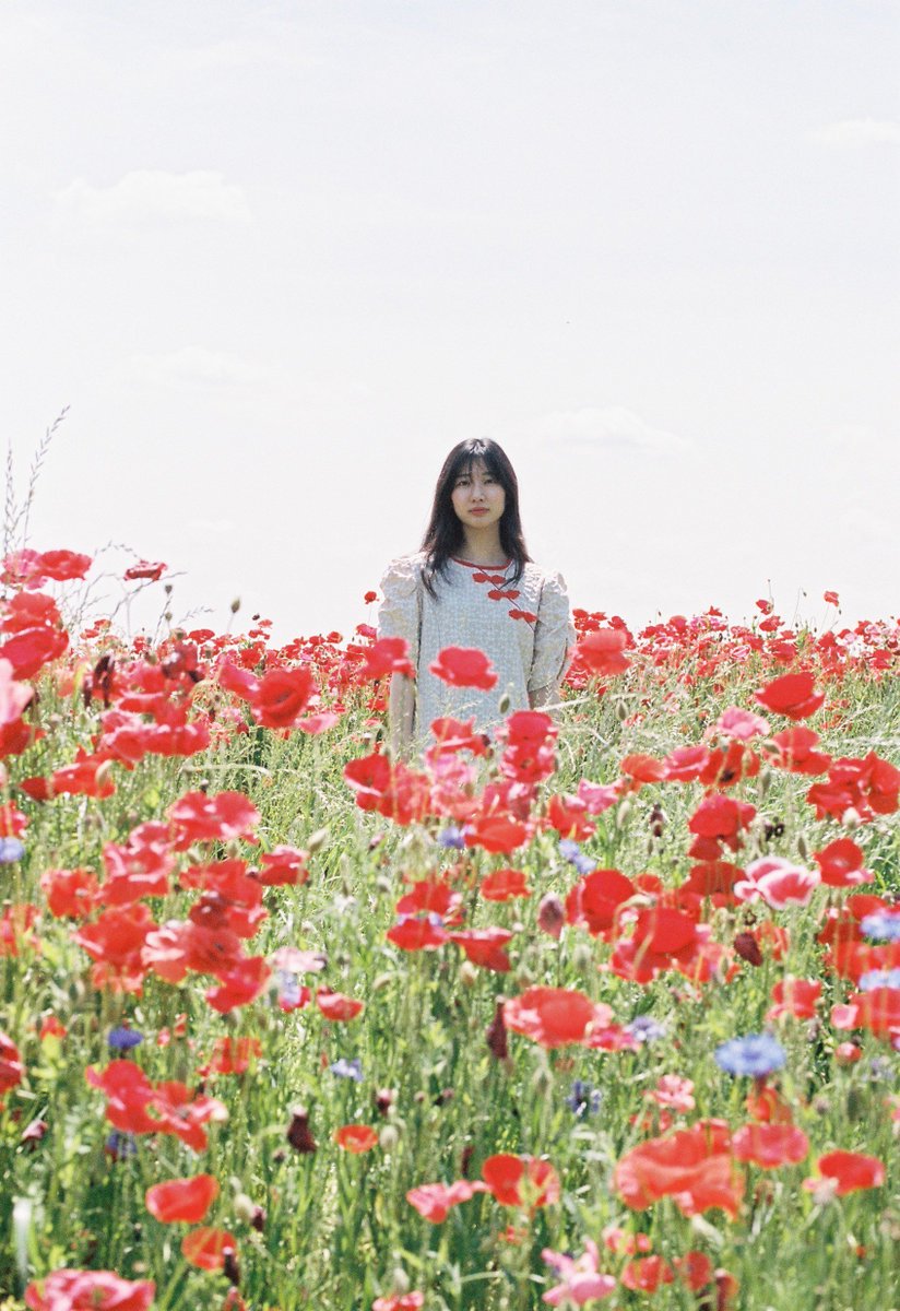 tosaneko24's tweet photo. 素敵なものを養分にして美しい花を咲かせる貴女がこれからもずっと幸せでありますように https://t.co/YBblpEROQr