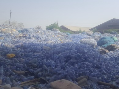 yhamadaiom's tweet photo. Through the MRP, @PAD_Ethiopia's Waste to Wealth initiative turns plastic waste into livelihoods, creating income for migrants, returnees, and communities while promoting sustainability and resilience. Turning waste into opportunity in Ethiopia 🇪🇹 ♻️ https://t.co/Q6oZnOU0G9