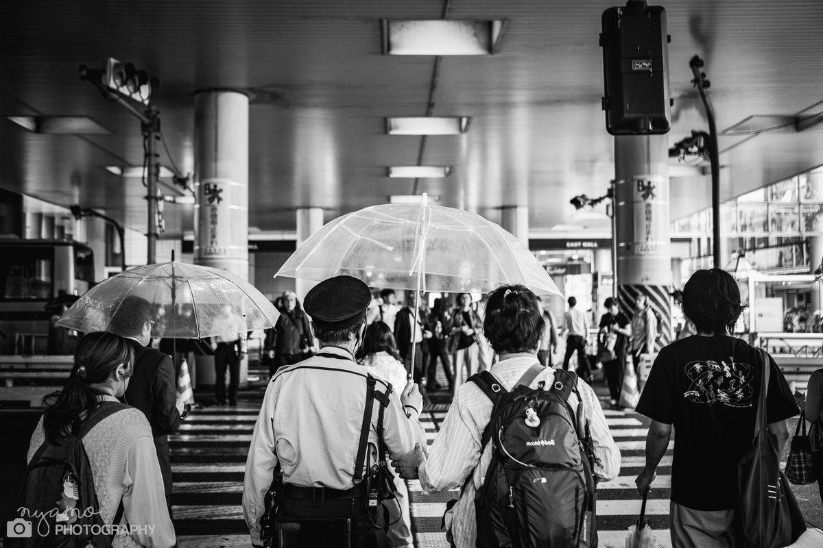 にゃも (@NYAMOPHOTOGRAPH) / Posts / X