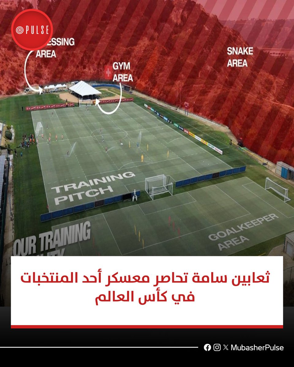 MubasherPulse's tweet photo. يواجه منتخب سويسرا تحديًا غير معتاد خلال استعداداته للمشاركة في كأس العالم بعدما حذر المسؤولون اللاعبين من وجود منطقة تنتشر فيها الثعابين بالقرب من مقر التدريبات في الولايات المتحدة.
#مباشر_بلس
https://t.co/PQEQtgJycu https://t.co/G8twTaSnCC