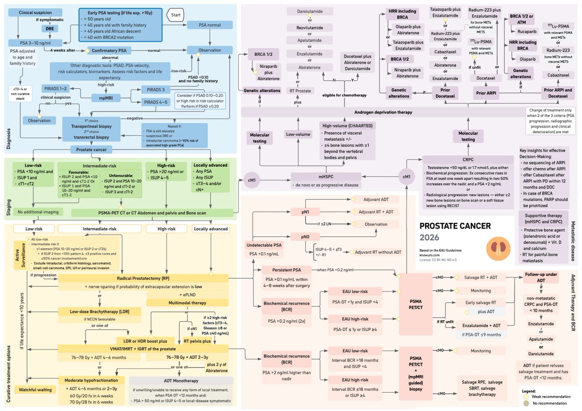 knowuro's tweet photo. ✏️
Our 2026 Uro-Oncology Flowcharts are already available free of charge on our website. (https://t.co/J2ExAnFzVY)
Explore our Prostate Cancer Flowchart for a clear and practical overview of diagnosis and management pathways. Thank you, @JGomezRivas, for this great collaboration! https://t.co/iprQpMoCKZ