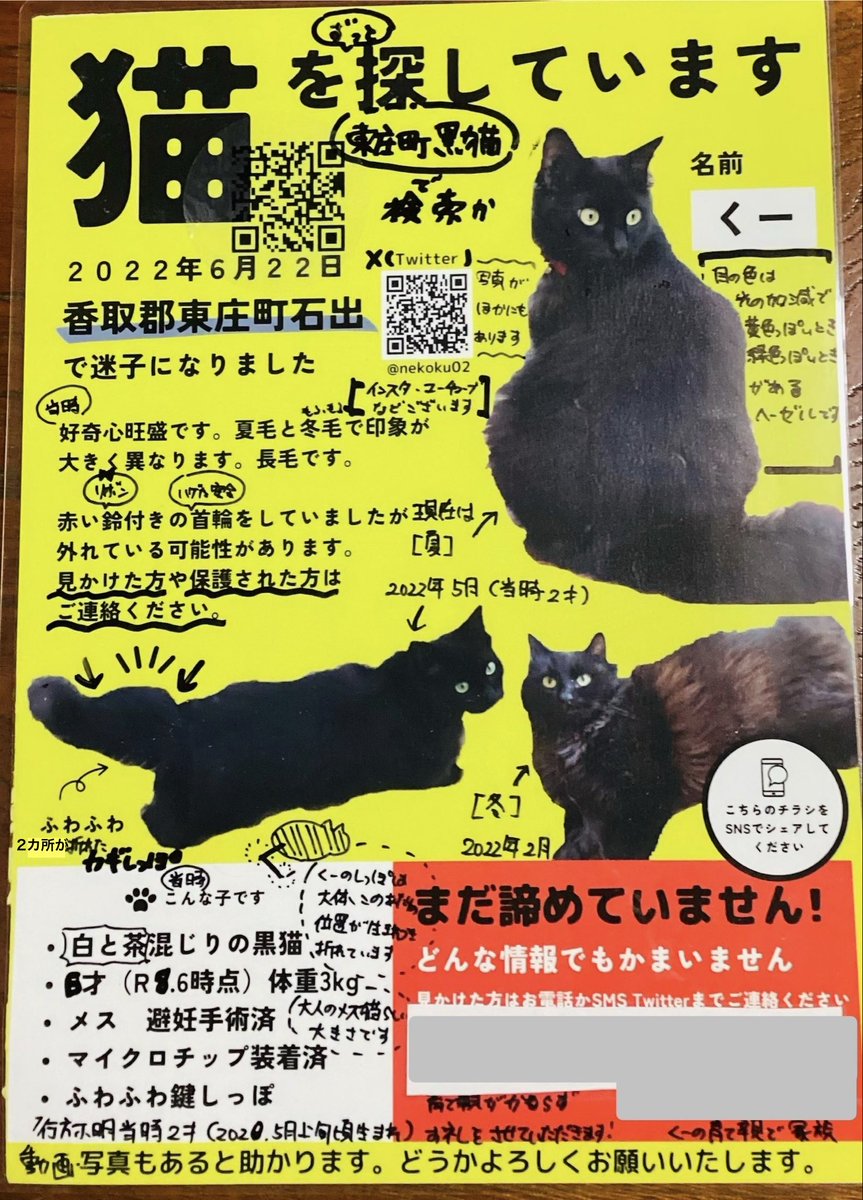 nekoku02's tweet photo. 【千葉県 香取郡 東庄町 黒猫くーを探してます】
♥️🔖希望 引用元に詳細：津波注意報の無線をよく聞きました。解除されましたが被害が最小であります様に🙏

⭕️2ヶ所が折れた鍵しっぽ
⭕️光の加減で黄↔︎緑に見える目
⭕️白茶混じりの長毛黒猫♀

#東庄町 石出 '22年6/22~
近隣地域 香取市 旭 銚子 神栖 https://t.co/k0e2t0PZP9