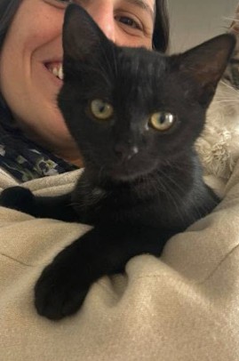 MissingTarn81's tweet photo. 08.06.26 Perdue chaton (5 mois) femelle noire à Mazamet (vers école Saint Jean). Pucée. Contact : https://t.co/bJcG5xhZ0K #Tarn #chatte #chat https://t.co/amzR1w2arc