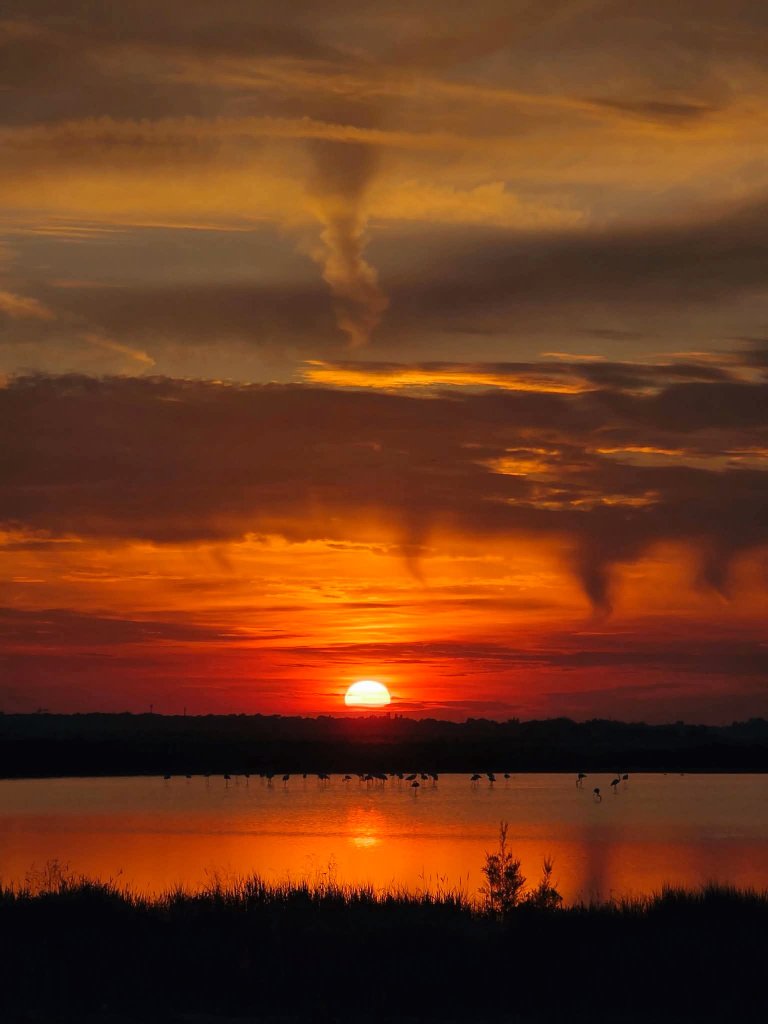 LucfkK73's tweet photo. "Il tramonto è ancora 
il mio colore preferito." 

- Mattie Stepanek - 

Saline di Cervia (RA) 

📸 Dritan Osmani 

#ConUnaFoto su #CasaLettori https://t.co/A2JW36xGZ8