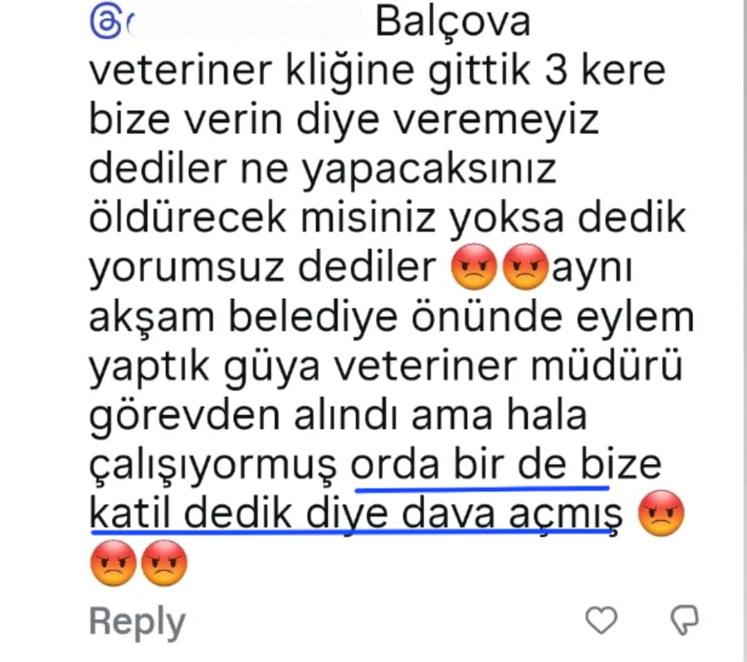 seda_su7's tweet photo. Aktivizm kariyerinin en pahalı hakaret davası olabilir. 

Bu habere üzüleceğimizi sanmış galiba. 🤭🍿 https://t.co/zLFh59xaa0