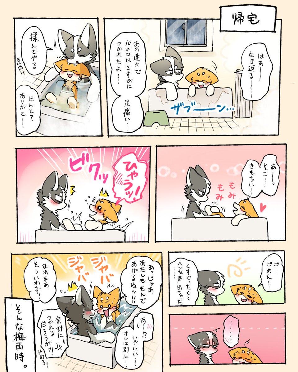 Tsky_Shibeta's tweet photo. そんな梅雨時 https://t.co/Oo4hxyWJ2Q