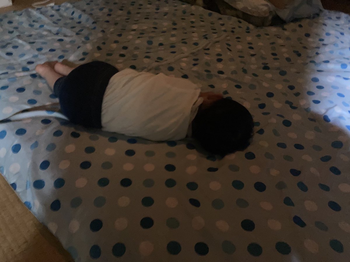 521O_'s tweet photo. 1歳なのに死ぬほど走り回るやんと思ったら姿が消えて
和室開けたら気絶するように寝てたほんとに愛してる https://t.co/fzf6iljPi0
