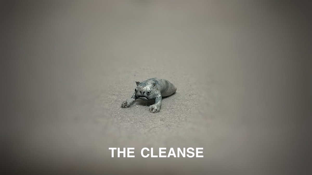 Kazu_LuckField's tweet photo. 私も出した。思考が前向きになった。

#クレンズ #cleanse #デトックス https://t.co/1d4plIXh6D