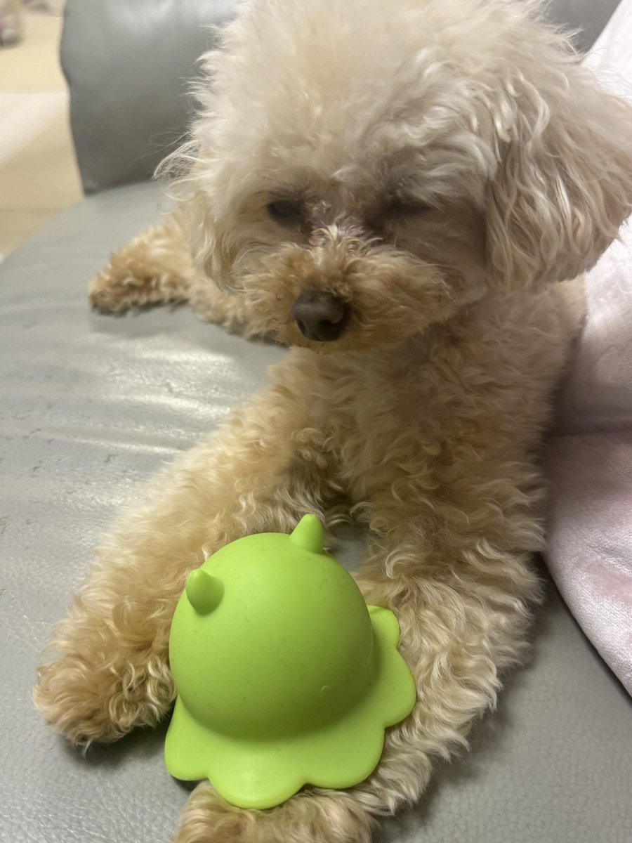 ph_key58act's tweet photo. こなけし...🐢ペースでも良ければ🙌
#6月になったのでいいねした人に一言 https://t.co/IhXvTYVm1D