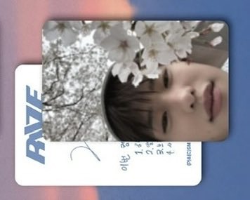 _notyourpeach's tweet photo. ตามหาก้าด 4 ใบนี้จ่ายด้วยชีวิตเราค่ะ https://t.co/9iCKXEBOU4
