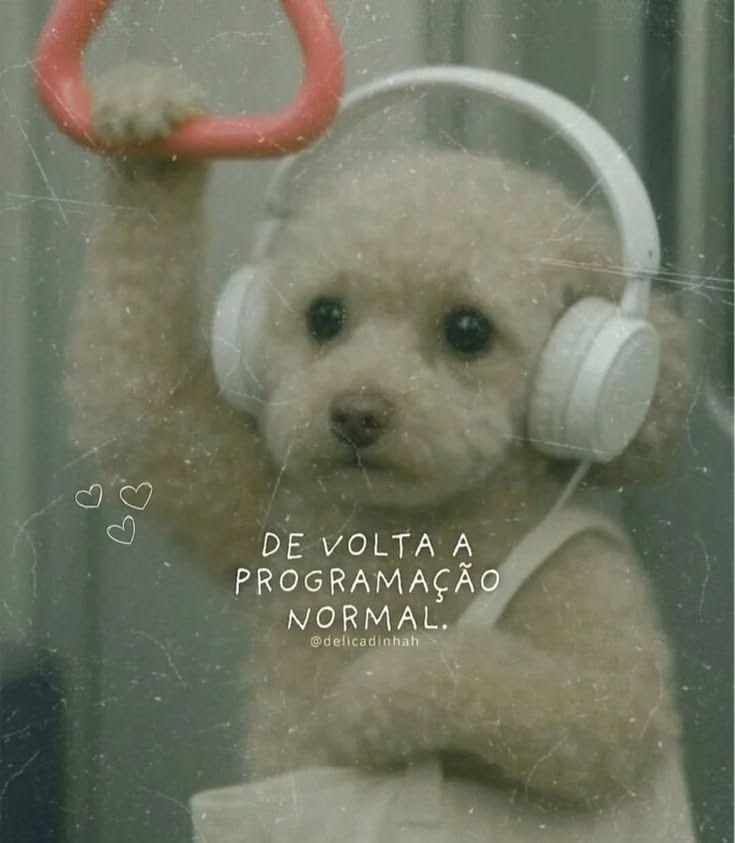 brunaemobra's tweet photo. Segundou. Bom dia! ✨ https://t.co/35YVFwChpz