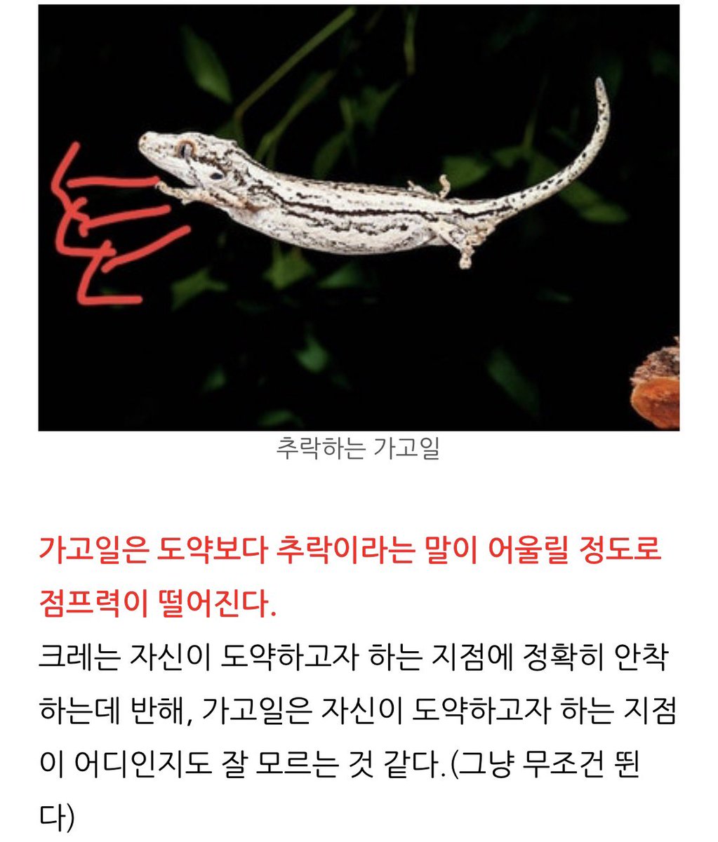 pebbiowoe's tweet photo. 가고일 바부… https://t.co/RWEASkkMuF