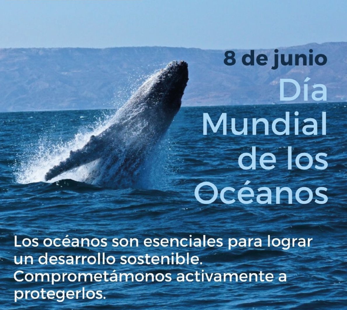 MariaVitdo's tweet photo. La fauna marina se enfrenta a amenazas sin precedentes impulsadas por la actividad humana. Las principales problemáticas incluyen la contaminación por plásticos, las redes, la sobrepesca y el cambio climático.  Cada uno tiene su papel fundamental para proteger los océanos!! https://t.co/qR1DHJnlf4
