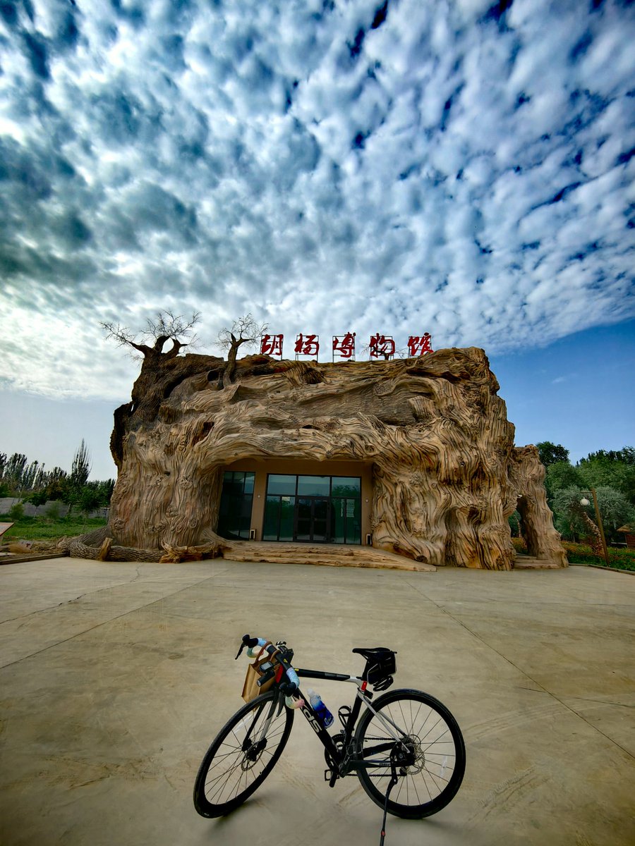 hynghuki's tweet photo. 世界胡杨森林 龟兹花园沙雅  胡杨博物馆晨曦 https://t.co/oiFeYCGwxA