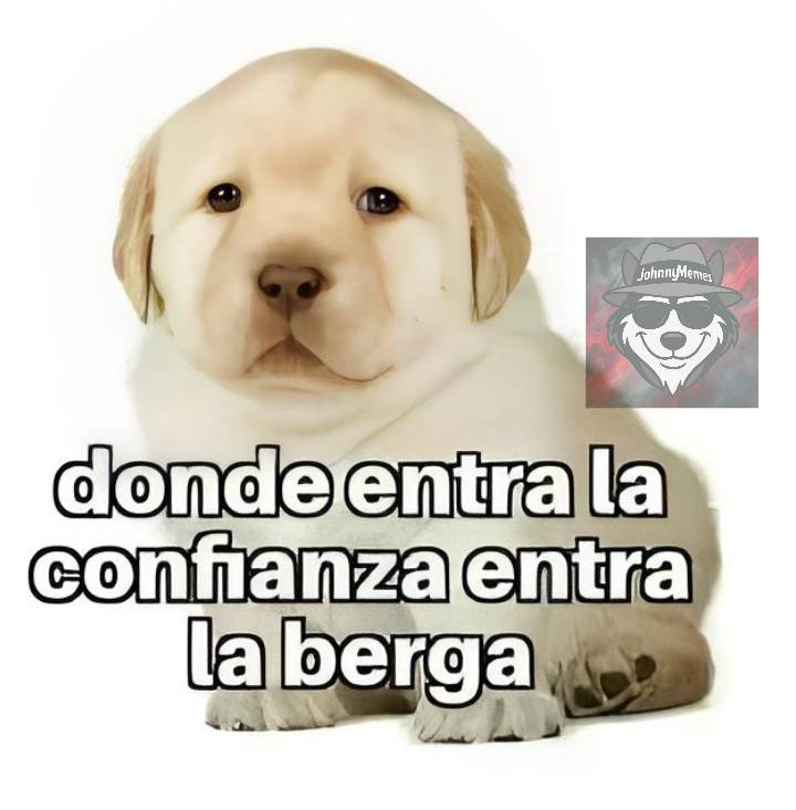 JohnnyMemes_'s tweet photo. Será ✊🏻😂 https://t.co/qweSLYGyVf