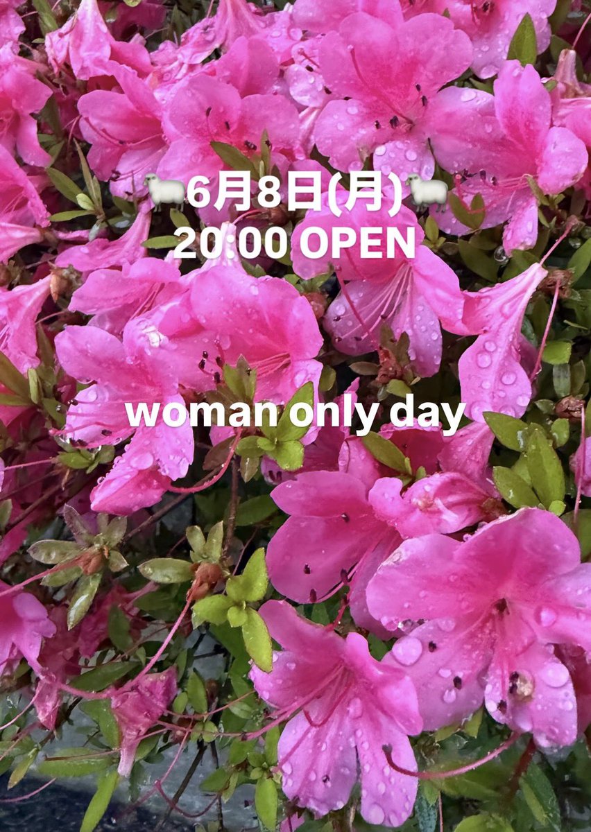 BS072421716's tweet photo. 🐑6月8日(月)🐑
20:00 OPEN

woman only day

昨日もありがとうございました✨

いよいよ梅雨入りかと思ったらそうでもなかった☂️

本日もまったりお待ちしてます❣️ https://t.co/uY5YXixqoy