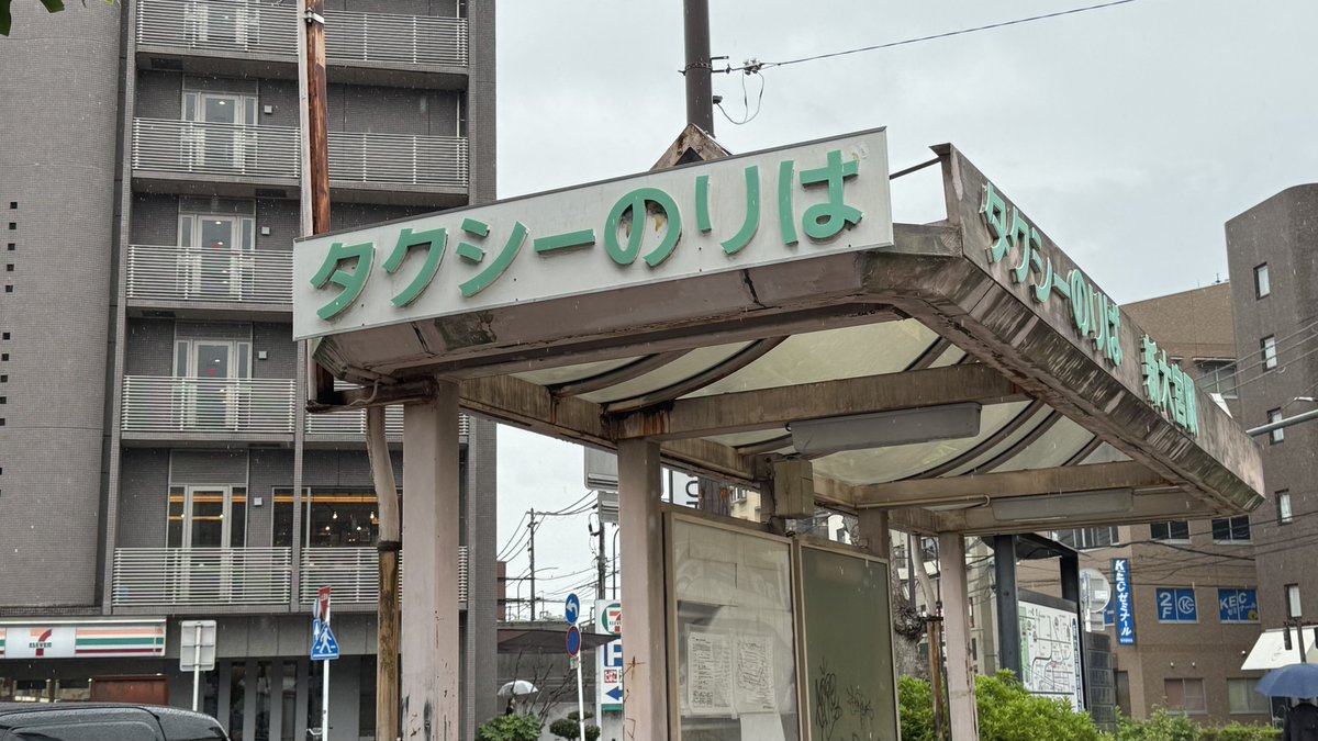 yonoi_diva's tweet photo. カメ活 in 新大宮 https://t.co/RjuNShjV9B