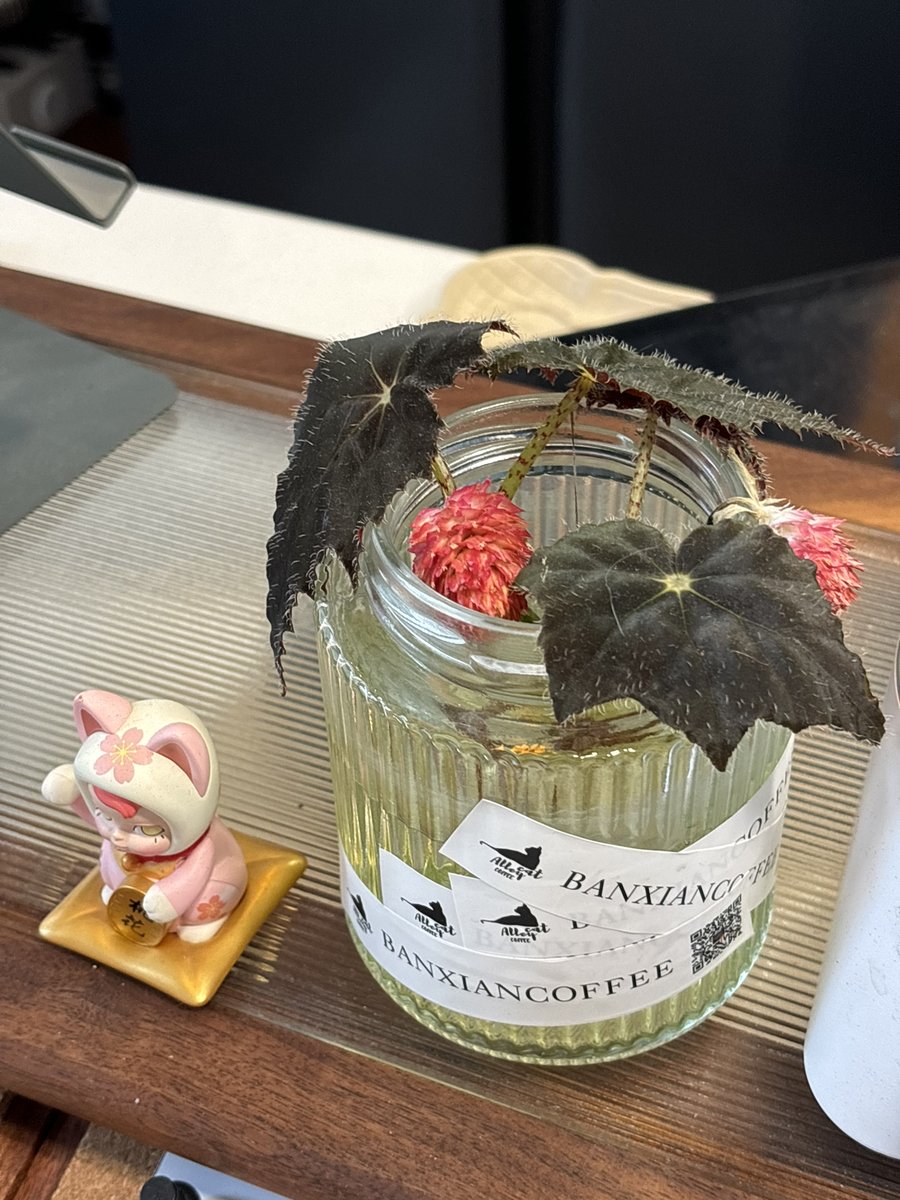 peter6001's tweet photo. [Mid-week slump hitting hard—finished my daily task in 2 hours, now just here watching office plants grow silently. Who else’s desk has a secret nap spot ]， https://t.co/GelviyOPhB
