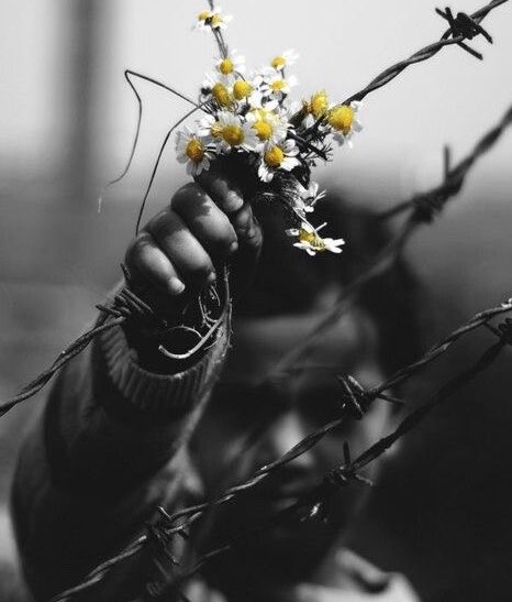 da_realBeliever's tweet photo. Lately, I've noticed everybody looks okay until you eventually have a deep conversation with them.
And then you'll realize that this is a sad generation of people struggling to survive behind smiling faces and pretty pictures. https://t.co/ezWDnxQ3Dx