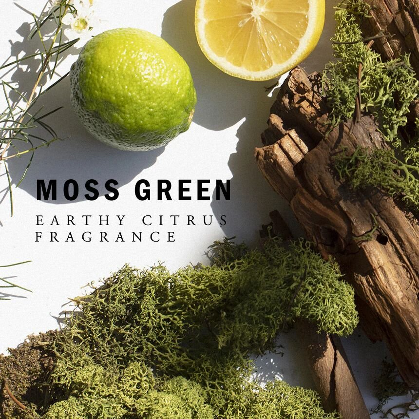 miyeonnews's tweet photo. #MIYEON's perfume for We Made C Version is Moss Green. Scent is Earthy Citrus.

Top Notes: Green Leaves, Bergamot, Lime
Middle Note: Daisy, Magnolia, Rose
Base Notes: Sandalwood, Patchouli, Cedarwood, Moss 

Green 💚 and Rose 🌹 both represent Miyeon.

#미연 #ミヨン #아이들 #IDLE https://t.co/kVCrJg9LEU