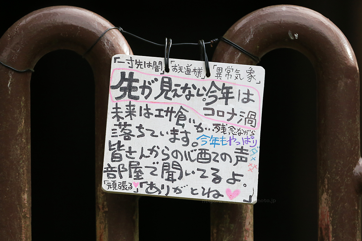 tobezoophoto's tweet photo. 自由に出入りできる開かれた扉の奥から、じっとこちらを見つめる強い眼差しの水牛。

ふと視線を落とすと、コロナ禍の不安やファンへの感謝が綴られた、飼育員さんの手書きの看板が揺れていました。

室内から、外の世界を眺める水牛。
通路から、レンズ越しに見つめる私。
そして、この場所を守りながら、見えない未来に心を砕く飼育員さん。

外からの光をかすかに浴びて浮かび上がるのは、力強い角の質感と、濡れた鼻先。
多くを語らない彼らの存在そのものが、時にどんな言葉よりも深く、心に響くことがあります。

そこにあったのは、単なる「展示」と「観客」という関係を超えた時間。
どんな言葉よりも深く、心に響く瞬間があります。
言葉にはできない不思議で、どこか愛おしい空気（とき）が、静かに流れていました。

#とべ動物園 #水牛 #動物園巡り #動物園写真家 #ファインダー越しの私の世界 #キリトリセカイ #写真で伝える私の世界 #その瞬間に物語を #ドキュメンタリーフォト #動物たちの日常 #zoophotography #waterbuffalo #tobezoo