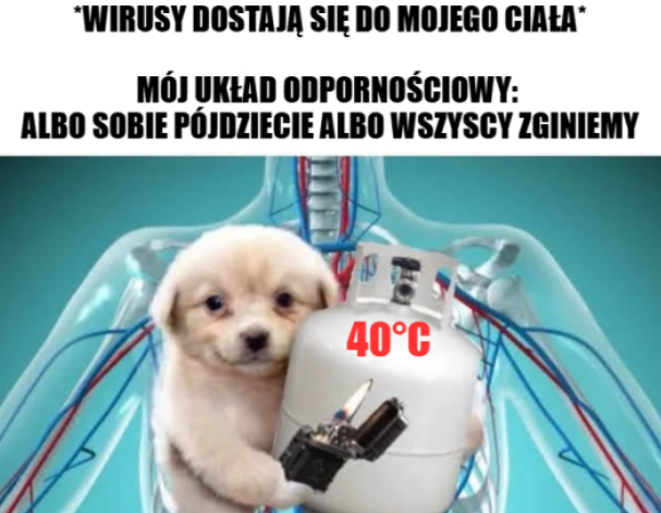 AjKedzierski's tweet photo. https://t.co/zg9PN3waHr