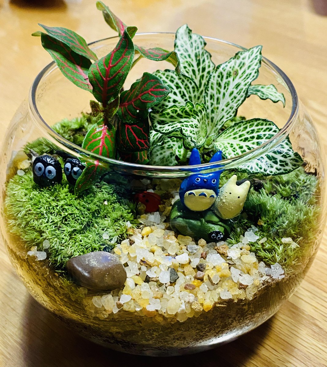 HELENDA84505873's tweet photo. Just finished up this mini terrarium DIY with items from my junk drawer and a mason jar  No fancy supplies needed—creativity’s the best tool! #DIYCraft https://t.co/jmER8Y2kWs