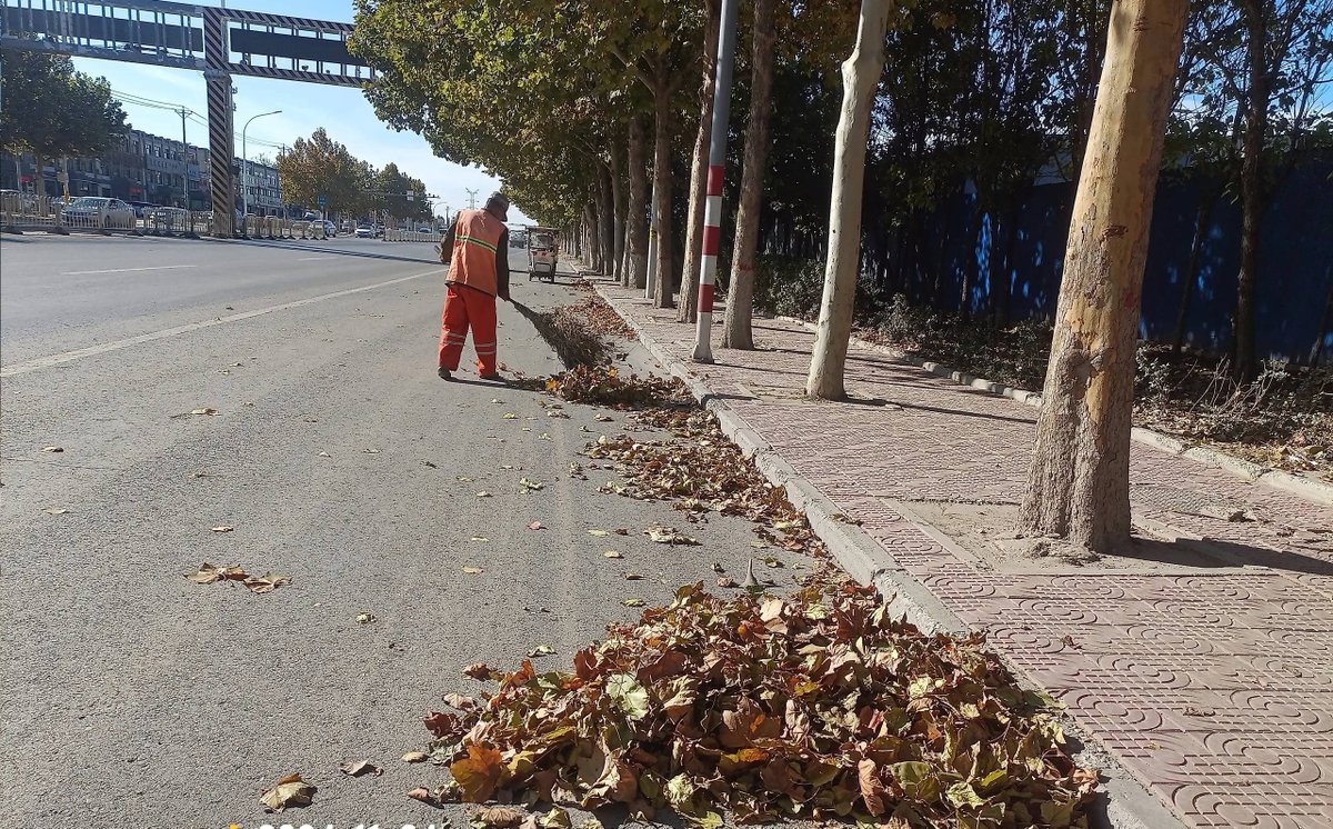 blueyes1109's tweet photo. Join our neighborhood park cleanup this Saturday, 9 AM! Bring gloves u0026 a water bottle—free snacks for all volunteers! Let’s spruce up our community together! https://t.co/qzLEGyFvS5