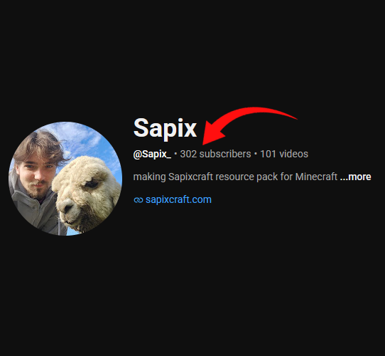 Sapix_'s tweet photo. I FINALLY reached 300 subs on YouTube!! 🫡
Subscribe if you want to see development vids of my resource pack Sapixcraft!
#minecraft #mcyt
https://t.co/xTX7di0UwE https://t.co/voxlexZBvM
