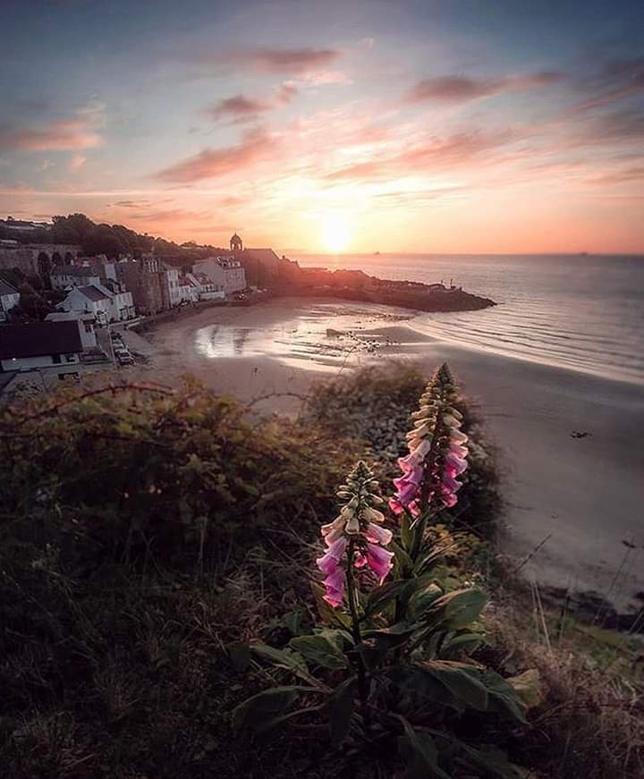 FrannyReilly's tweet photo. @fionajroberts1 Good Morning  @fionajroberts1  👋 ☕️
Happy Monday  🏴󠁧󠁢󠁥󠁮󠁧󠁿 
It's nice to see you again  😊
Hope you're keeping well  🤗
Have a good day and a great week ahead whatever your doing  🏠  ☕️ 💙 🌤  ☕️  🏴󠁧󠁢󠁥󠁮󠁧󠁿  🛍 💚 💐 💛 🌷 🌻 https://t.co/hLudfDtNac