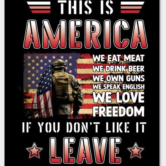 Jingoman111's tweet photo. 💯🇺🇸🇺🇸🇺🇸 I Love My Country &amp; Flag! 🇺🇸🇺🇸🇺🇸💯 https://t.co/Mc5Xjf09C9