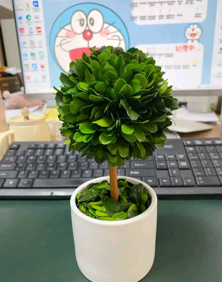 jadibb's tweet photo. Just found my office plant wearing my missing sticky note as a tiny hat.  Who’s the real adult here #WorkLaughs， https://t.co/Gs8ZdilCOO