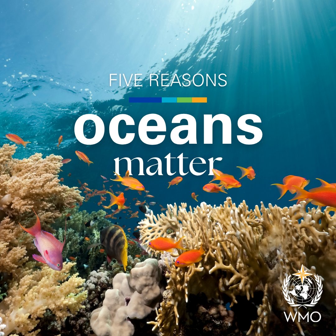 WMO's tweet photo. The oceans are vital to weather forecasting and climate prediction. Here are 5 reasons:
1️⃣ Your 7-day weather forecast depends on ocean observations. Observations provide data on sea surface temperature, ocean heat content, as well as waves and sea ice. #worldoceansday https://t.co/MtUlSdlbAS