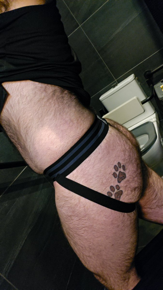 pupjack04's tweet photo. Post gym 🏋️‍♂️ 💪  musky dog

#pup #gym #gympup #musclepup #bodyhair #jockstrap #ass #tattoo 
#musky #hairy #furry #gaypup #pupplay #petplay #workout https://t.co/EOj40Kv8HK