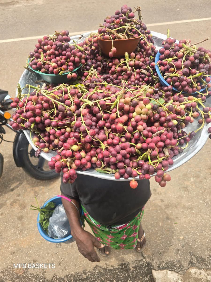 ajeezayGH's tweet photo. Northern Ghana is really full of wonders, Grapes are  commonly grown up north. https://t.co/a5F9i3NVVC
