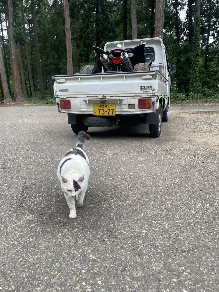 hayashi_tne's tweet photo. 風巻の神様からバギーを授かりました⁉️
突然のバギー増車。まさかじゃんけん大会で勝てるとは思わなかった。直して乗りたいと思います！
ありがとうございました！
@kazamakijinja https://t.co/RObIwtVBA9