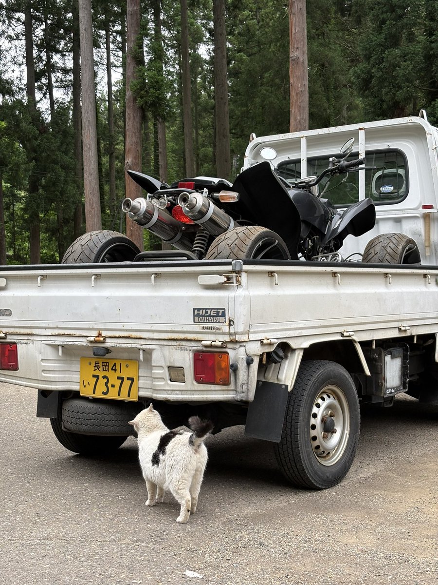 hayashi_tne's tweet photo. 風巻の神様からバギーを授かりました⁉️
突然のバギー増車。まさかじゃんけん大会で勝てるとは思わなかった。直して乗りたいと思います！
ありがとうございました！
@kazamakijinja https://t.co/RObIwtVBA9
