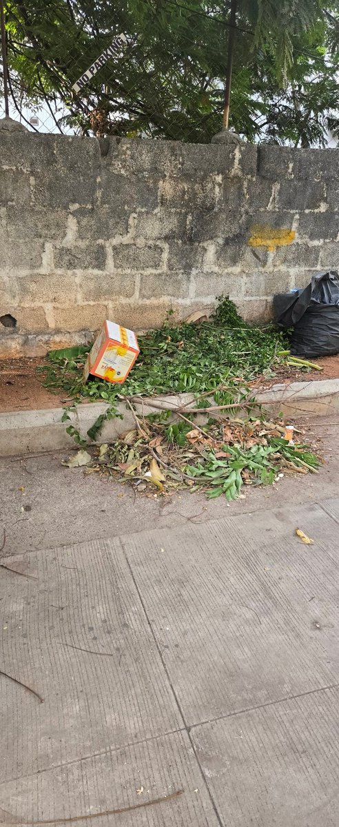mohanoverseas's tweet photo. 🚨 Serious Concern Regarding Absence of GHMC Sanitation Staff

For the past 3 days, our colony has not been cleaned by the regular GHMC sanitation team. Since Saturday, garbage has been accumulating in front of residential homes, creating an unhygienic environment and causing inconvenience to residents.

As responsible citizens, we pay our property taxes regularly and expect basic sanitation services to be delivered consistently. Unfortunately, the current situation reflects a complete absence of routine cleaning activity in the locality.

The accumulated waste is not only unpleasant to look at but also poses a potential health risk, especially to children, senior citizens, and residents living nearby.

Requesting immediate intervention from @GHMCOnline and the concerned sanitation officials to restore daily cleaning services and ensure that such lapses do not recur.

@TelanganaCMO
@TelanganaHealth

#GHMC #Hyderabad #Sanitation #CleanHyderabad #PropertyTax #PublicHealth