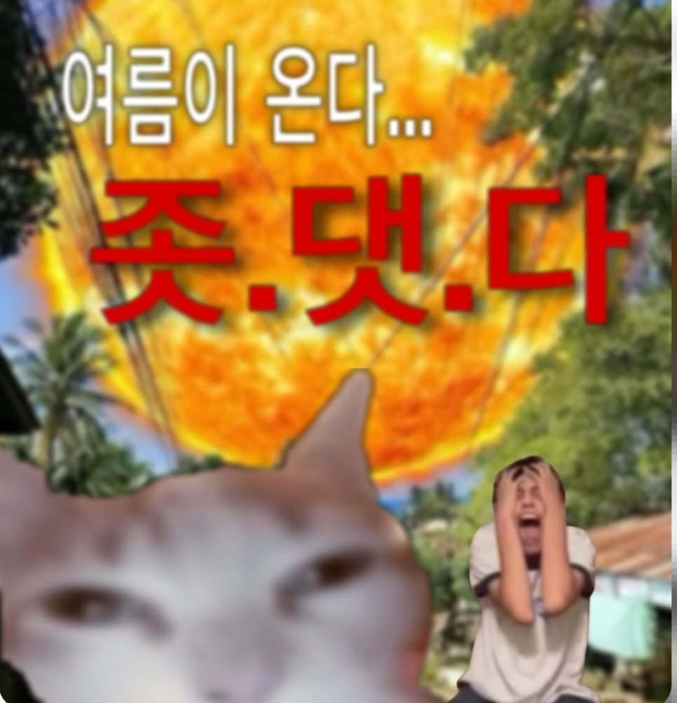 CEFBFH's tweet photo. @RUMADX_07 @jjikmuck_yammy https://t.co/K6BGClAKiz