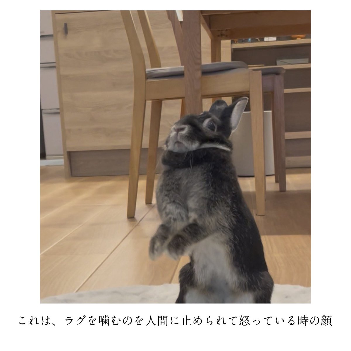 studio__rex's tweet photo. https://t.co/ToIAPL1jHS