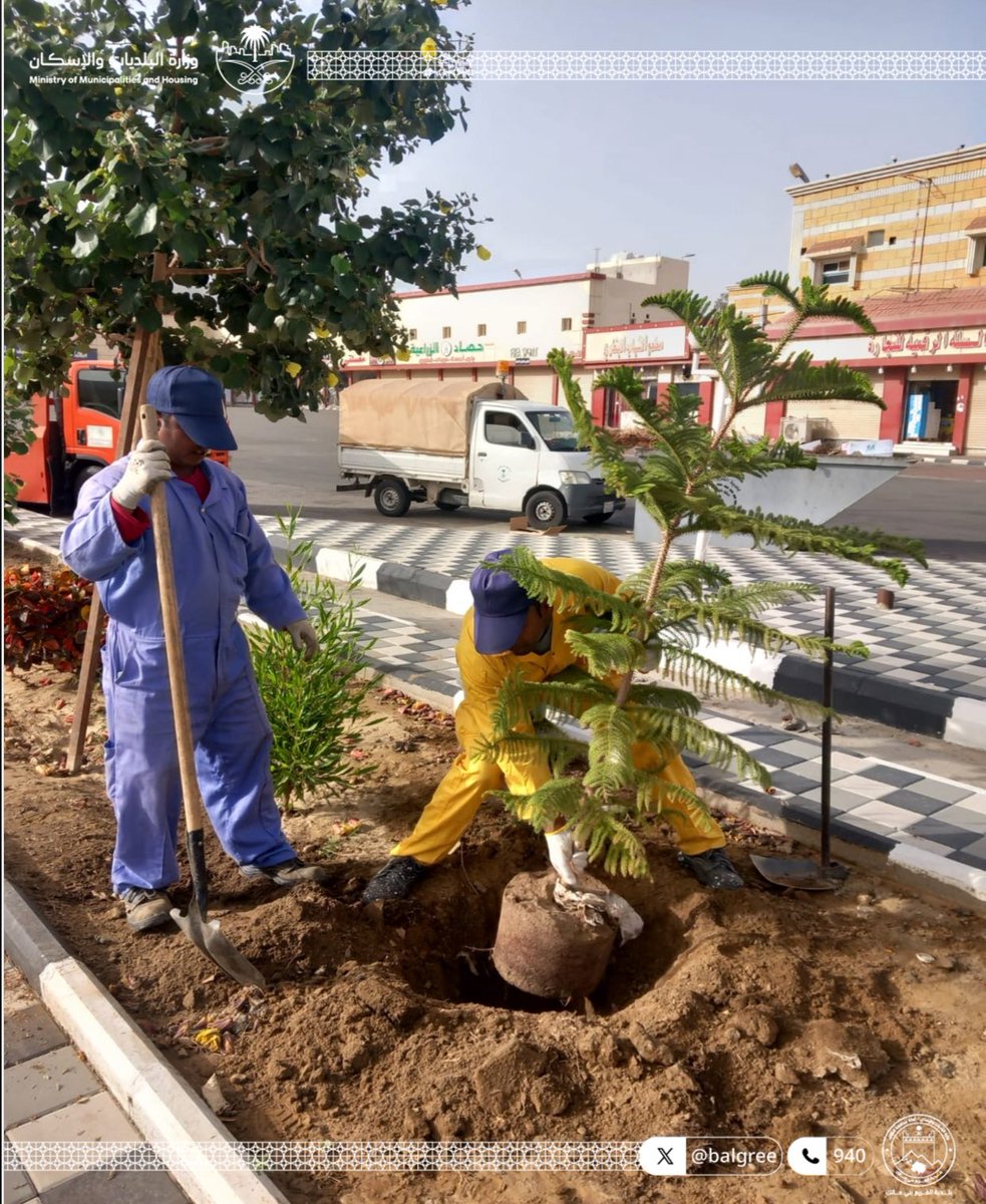 balgree's tweet photo. #بيئة_أجمل_وأكثر_استدامة  🌱

تواصل #بلدية_القريع_بني_مالك أعمال زراعة الأشجار في الميادين والشوارع العامة ضمن مبادرات تحسين #المشهد_الحضري  وزيادة المسطحات الخضراء .

#أمانة_الطائف 
#وزارة_البلديات_والاسكان https://t.co/6x64yQvdmP