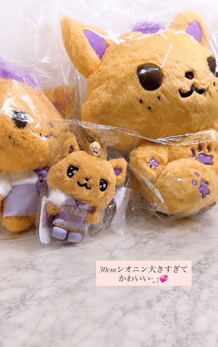 ₍ ᐢΛ⌔Λᐢ ₎💜 tweet media
