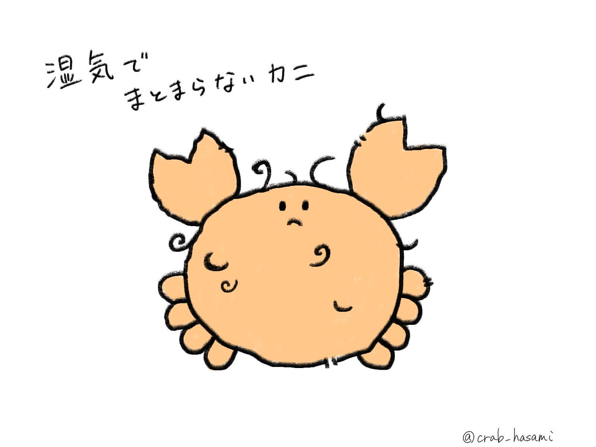 crab_hasami's tweet photo. 湿気でまとまらないカニ
#まるかにさん https://t.co/ls5AJjPAm3