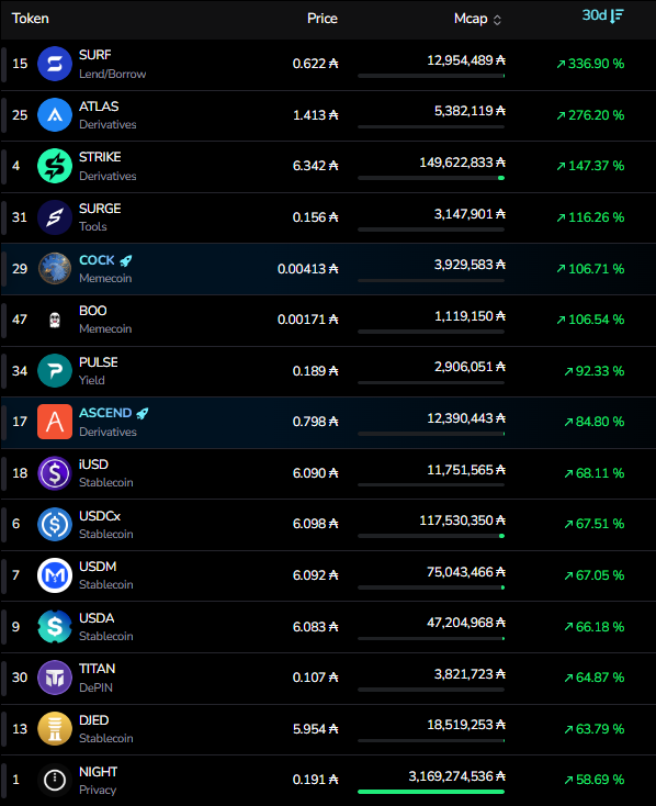 Sssebi's tweet photo. Does the Cardano ecosystem look dead to you? https://t.co/6QkIpUJRZp